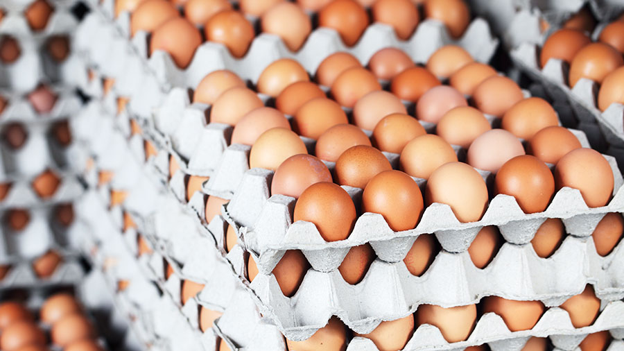 Yumurta sektörüne 98 milyon TL ceza verildi